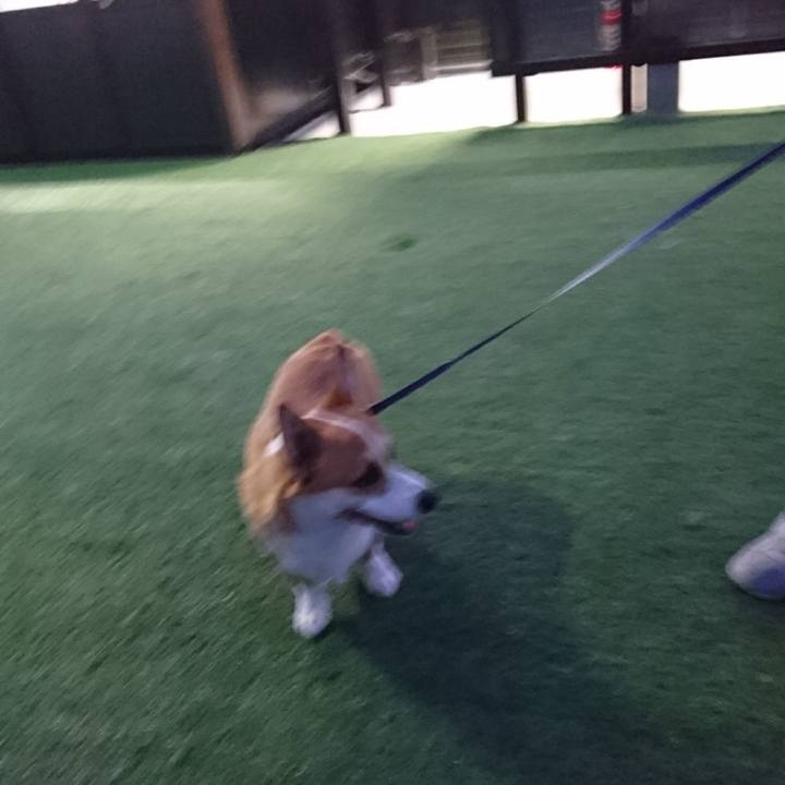 F99e2cd3 5add 42aa b76d e70a1e261466 1591841239619