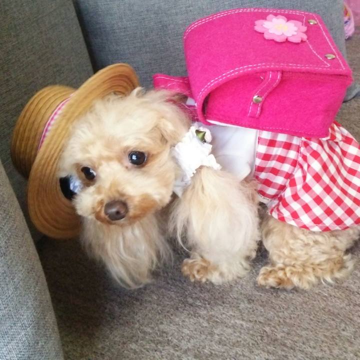 F99e6534 bb8f 4a92 8b5d be7127475a3e 1555041906978