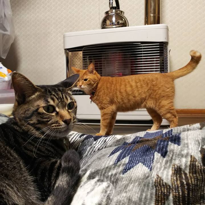 F99e6dcd e80a 4926 bc99 0d2cfa91d2ee 1573890198025