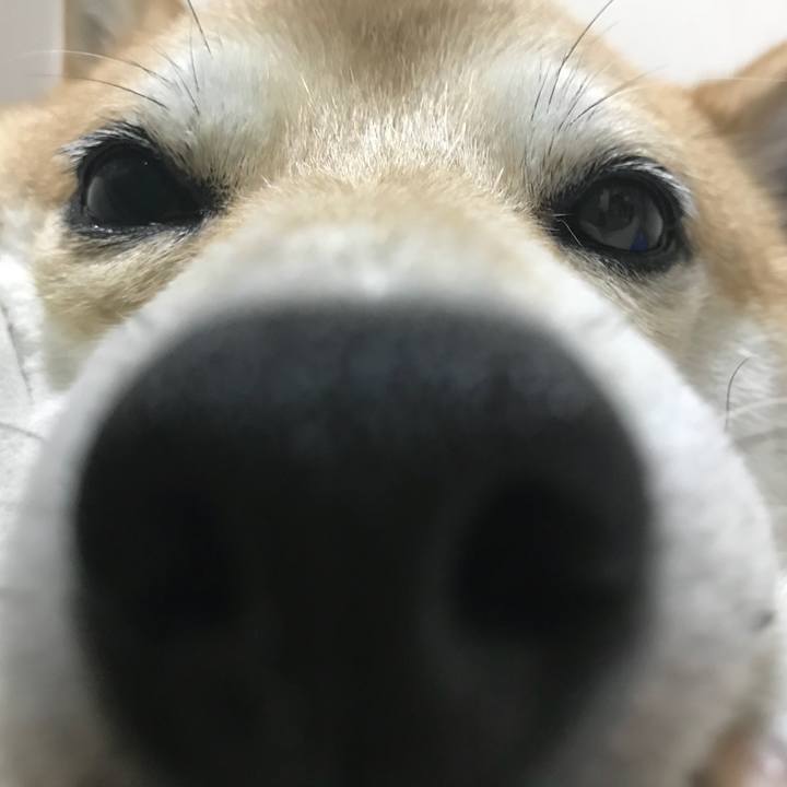 F99e7df7 4cd5 4c78 bf99 70ff136d028e 1535362398117