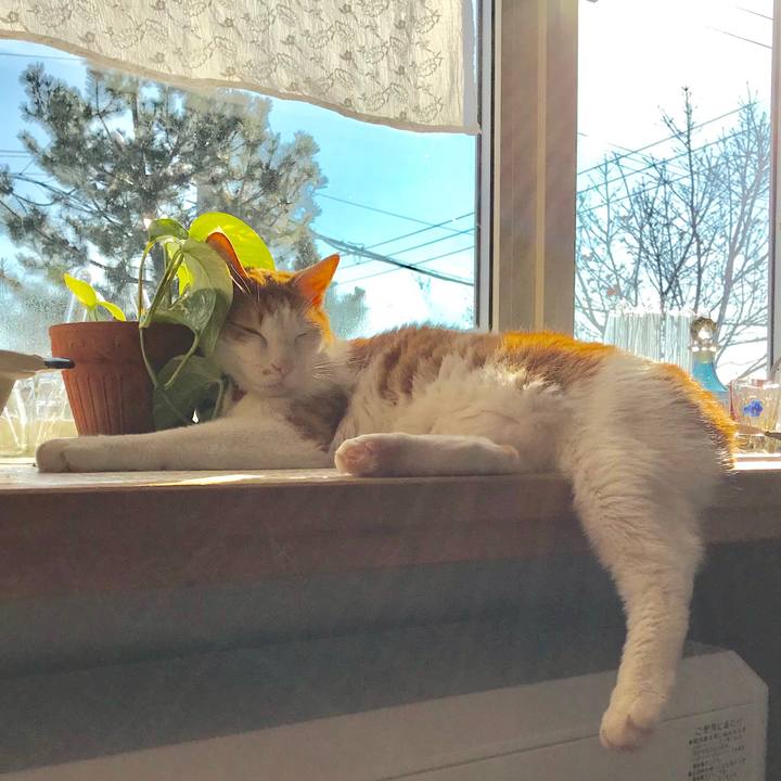 F99e9ddd 4329 49b0 896e 9c9c853d5631 1547435866095