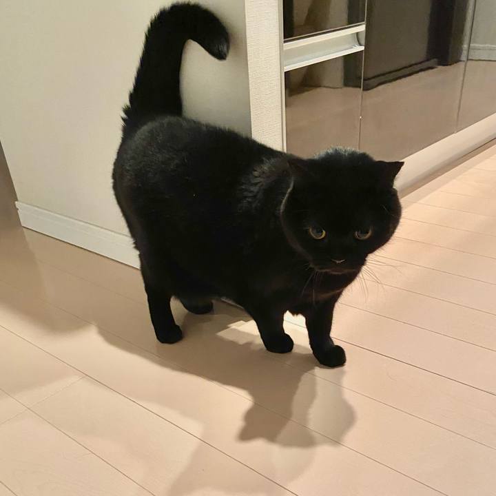 F99ed215 b240 4034 ae47 f85159a8b20d 1674913517119