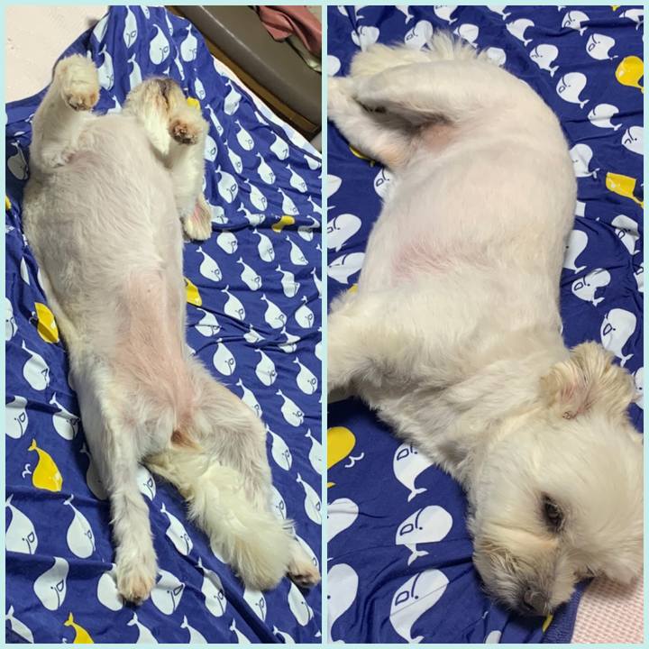 F99ee7df fd8c 4fd9 aa47 7b7ab4022139 1596290415302