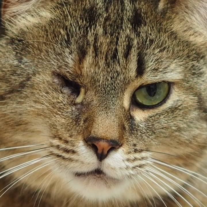 F99f0060 2569 41b0 a73f bc2f61b68c36 1528808356523