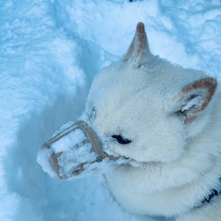 F99f1294 9af3 4445 8a04 d689f3d5ecb1 1767910695729