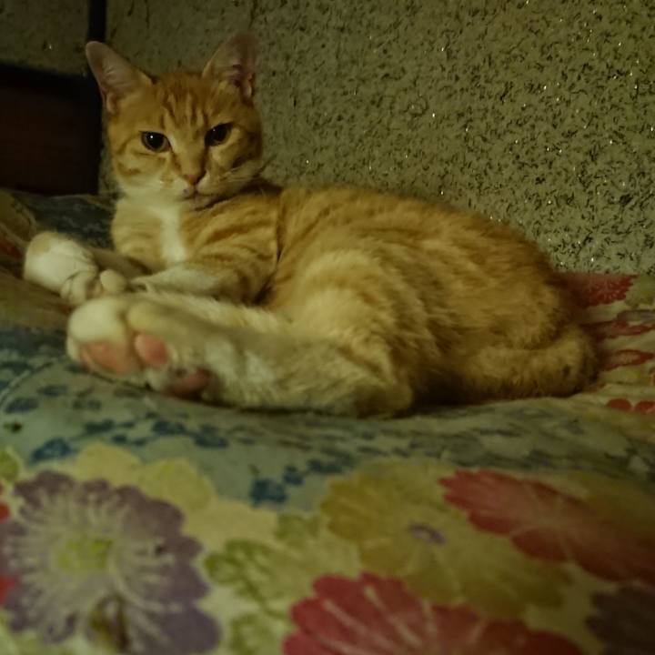 F99f2033 3ce1 41fb 9f24 0c3eb674d96f 1593609423124