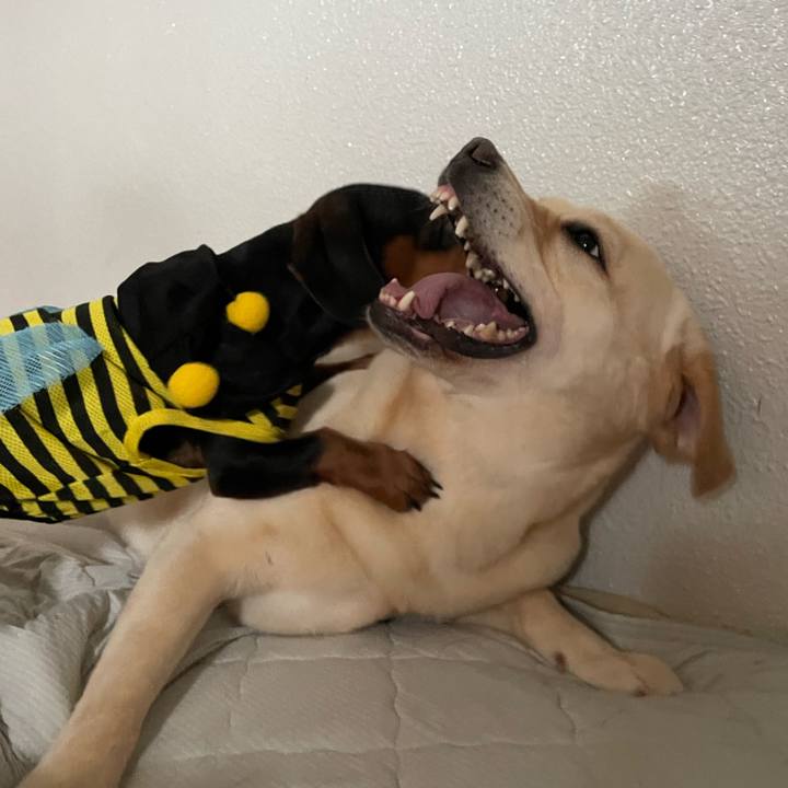 F99f6dca 5ed4 4873 b23d 866e6b4d4be9 1654034307017