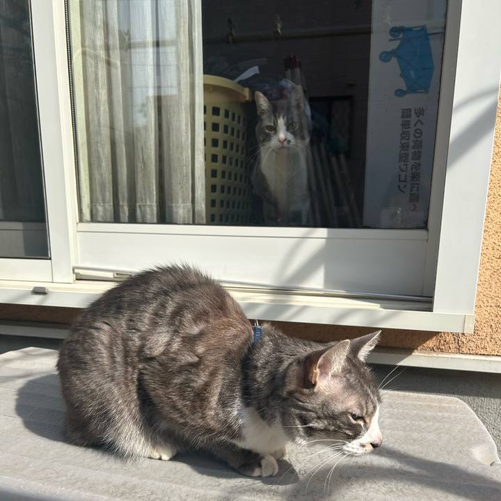 F99fa27d e9e1 4361 ae5a bc74757129b6 1770257429436