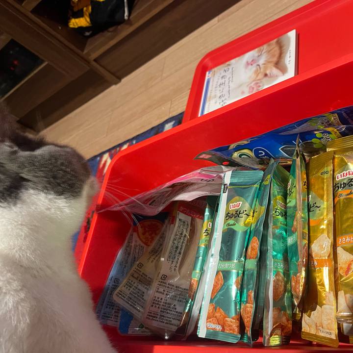 F99fa47f 1f8e 4ee5 82b0 9d955a8a1c02 1667134336536