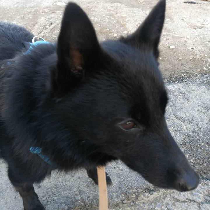 F99fb61f 2f2b 43d0 b1ed 7f1477ba02ec 1640478762631