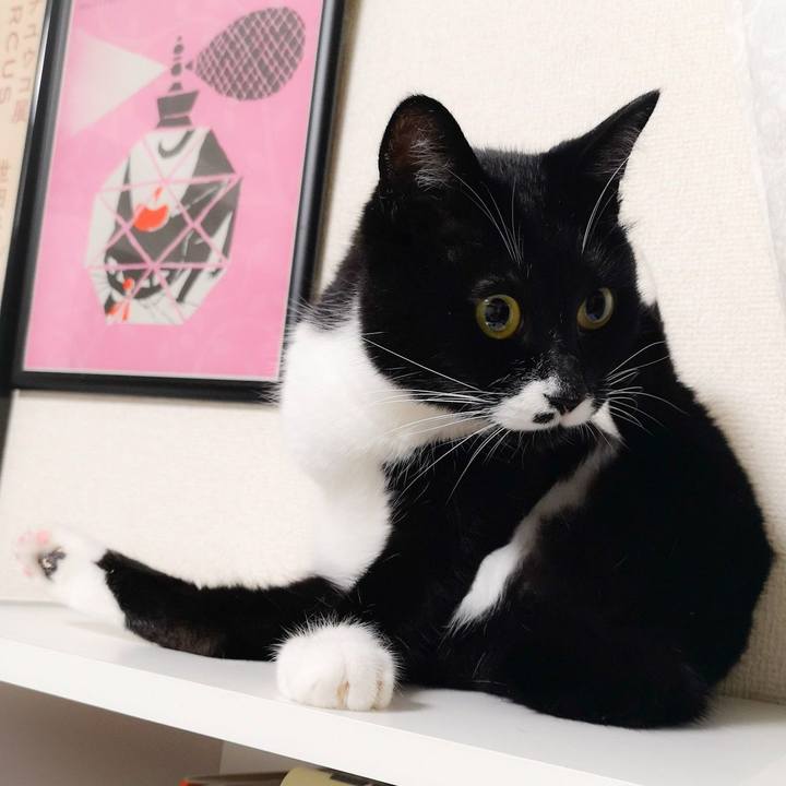 F99ff366 6e8a 4e07 9b34 dd45cb08aa79 1563721395651