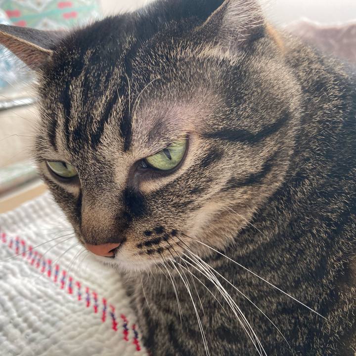 F9a00f31 f857 419e 97cd c3b84b92514d 1715843126301