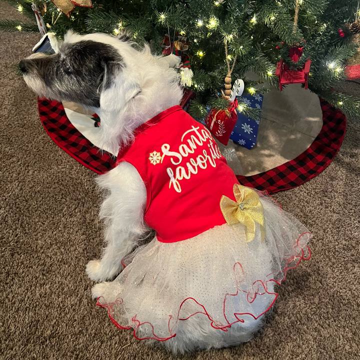 F9a016d8 52e0 4ecc b567 db1949722912 1733697679894