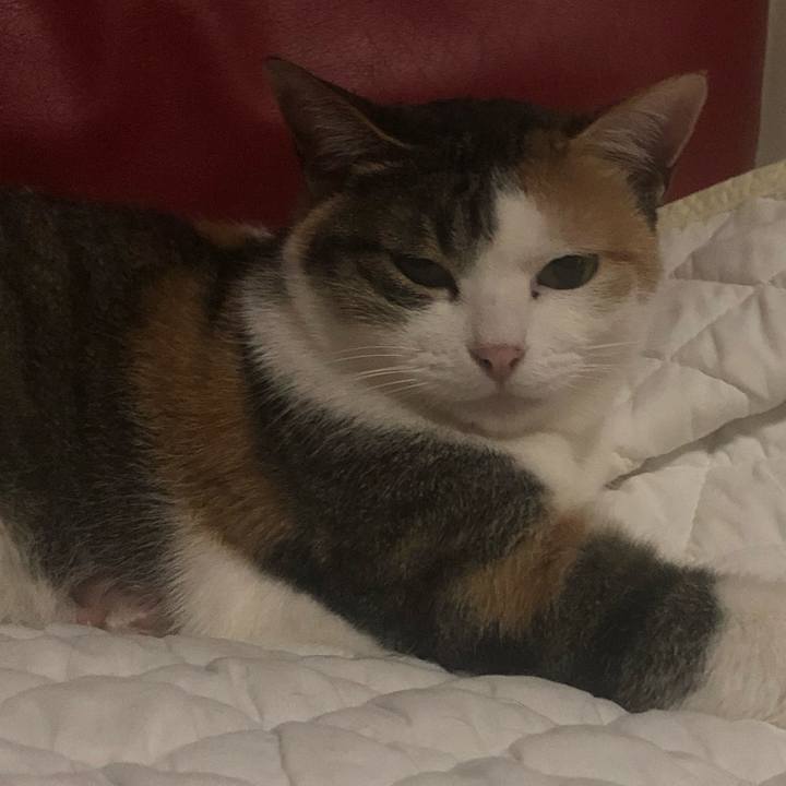 F9a01a67 379b 4544 bb62 c4e1c7250a22 1612526620562