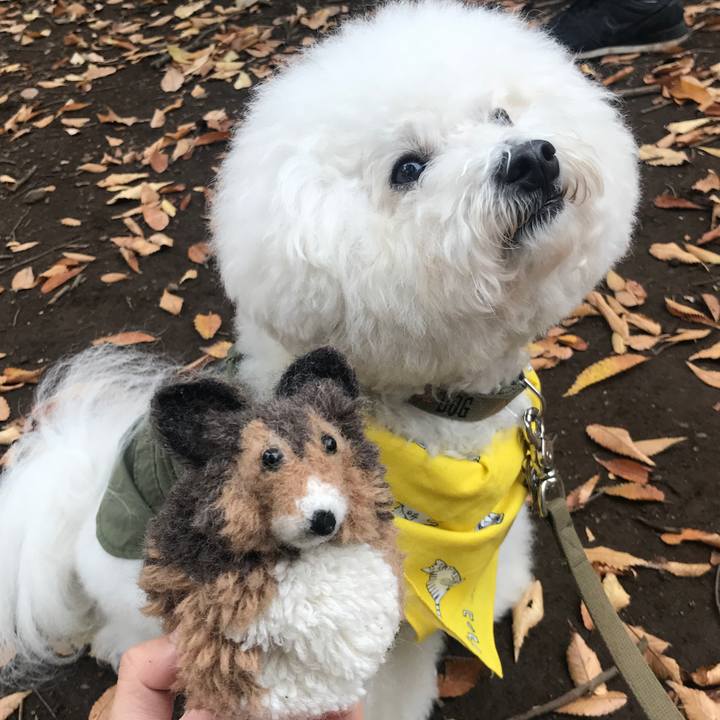 F9a06b9f 5ea5 4aaa b557 952a13c544d9 1509285610433