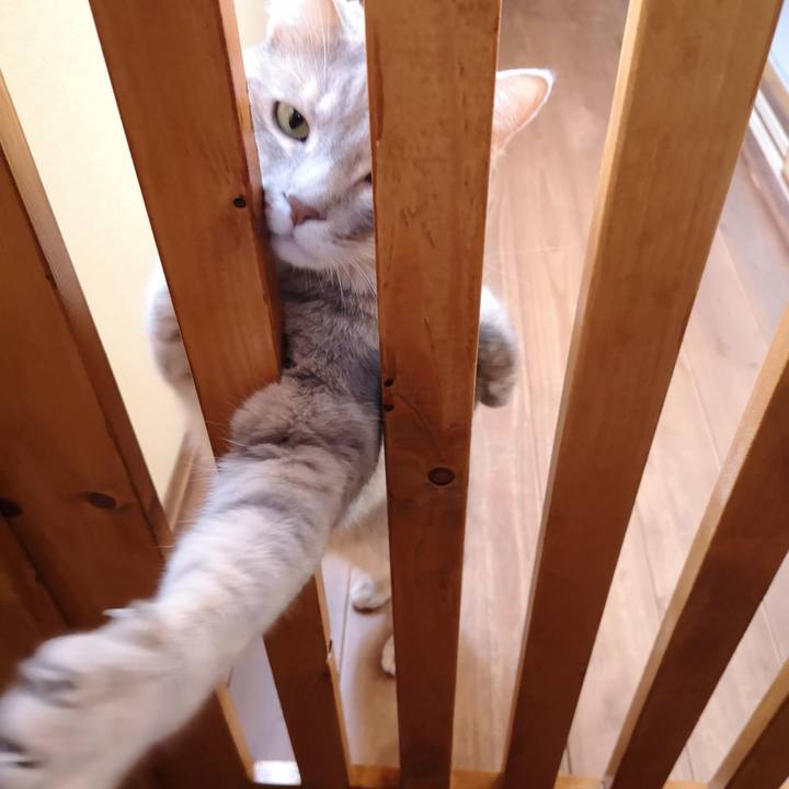 F9a08448 a0fc 4099 a0c4 619401102289 1571558872054