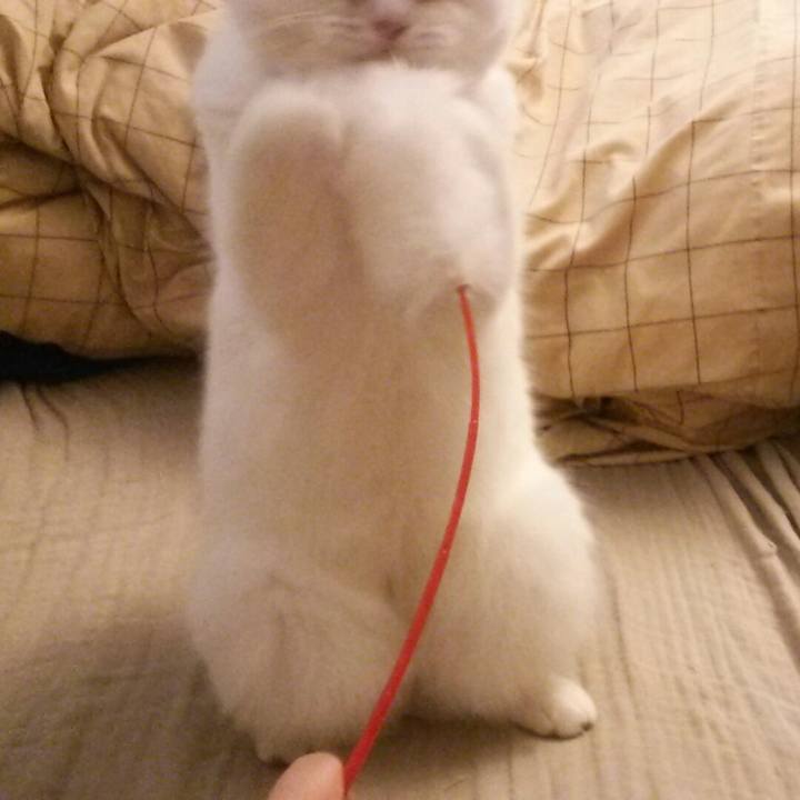 F9a0c039 3a17 474e a77e 00d0b591fa4f 1509208973031