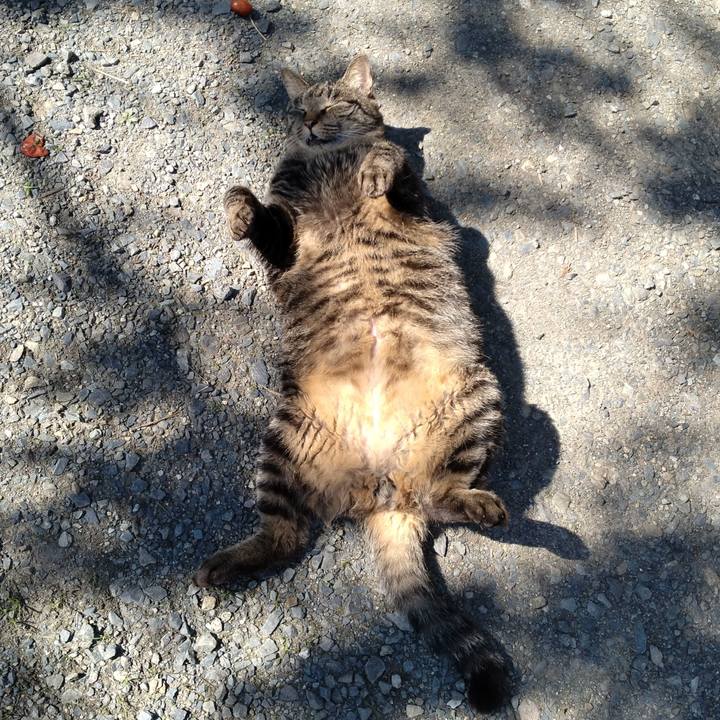 F9a0fbf1 f859 41f6 9dc6 673dc9f0ad5b 1664592291912