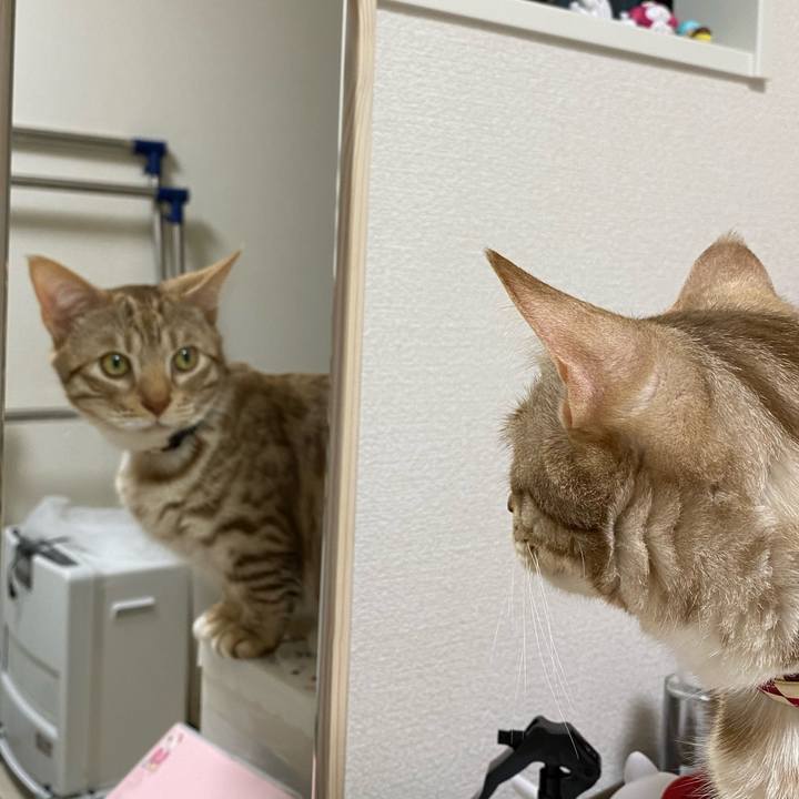 F9a141c0 1cce 4f79 ab83 a03d76f7af0b 1617535604971