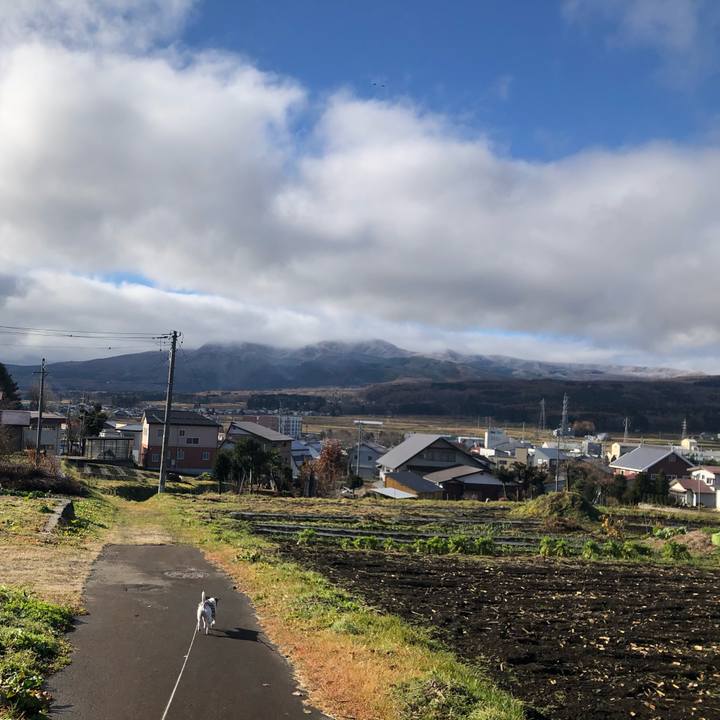 F9a15d48 0dfc 41f6 bca1 f6d65e89af2a 1574766869619