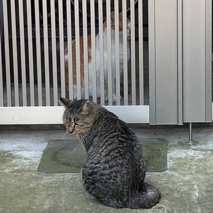 F9a16c28 3e46 4cf9 9de5 f8ec1300b1ba 1538144478250