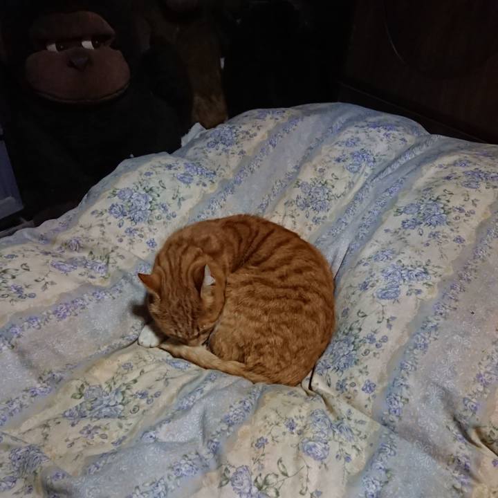 F9a1dc6a cd65 4ccc 9285 7e003a515a19 1576843615663