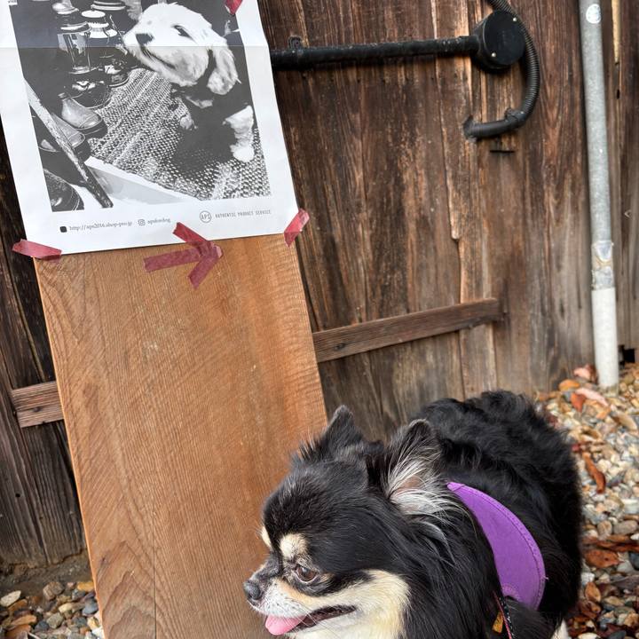 F9a20295 c07a 4eb1 a7da 5fcb7b207976 1759566058571