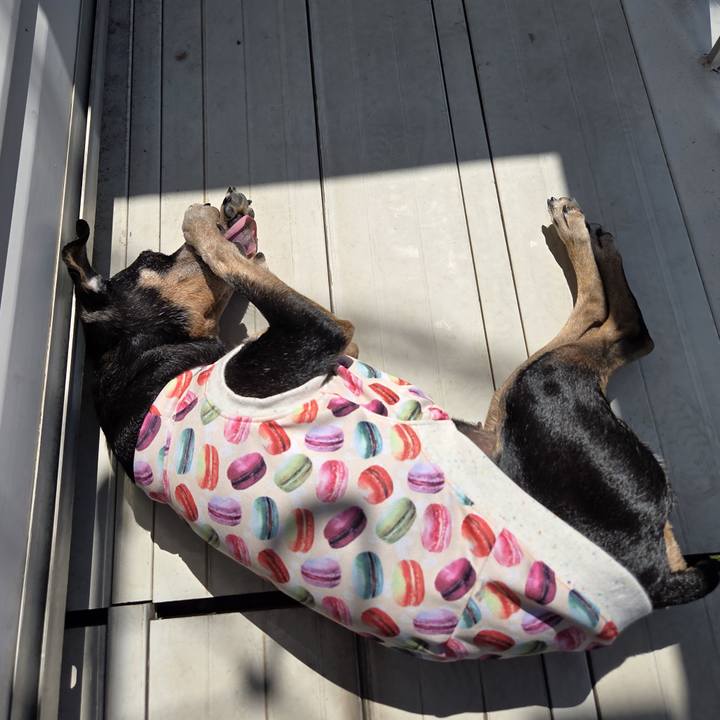 F9a2177d 6a9a 422f 8655 9de052b8f4f5 1756517336926