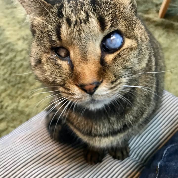 F9a2447f 93e0 4f26 ae8c 347f298714ba 1607575722422