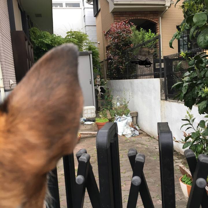 F9a2964c 520a 48ab b182 b04437652e71 1557914947550