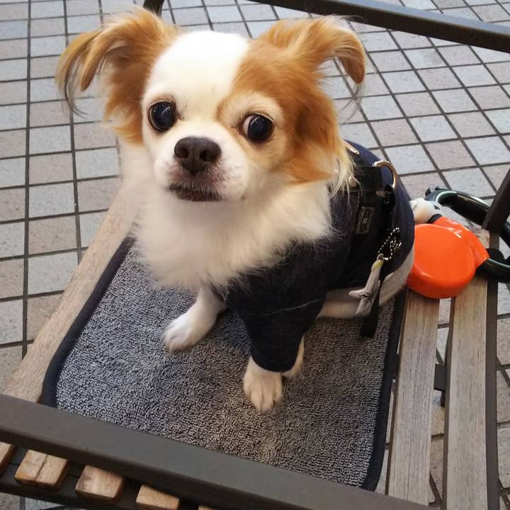 F9a29dc6 8054 47f9 81b0 cb321d8e5b70 1541679982523