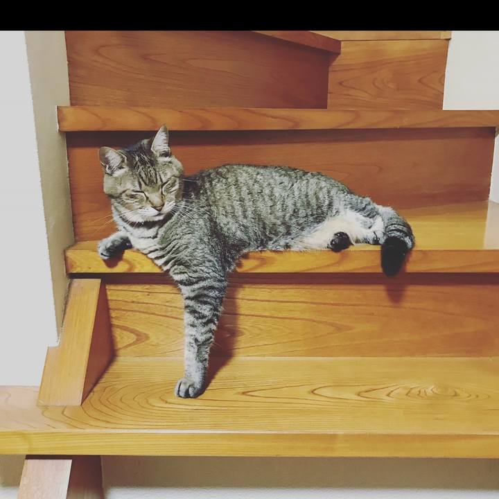 F9a2d50c e397 4989 b6b0 5eb2499a08ec 1697463565996