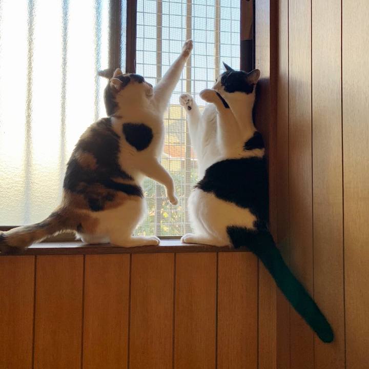 F9a2ec44 114d 4a3b 89cc 12ab3b71a6d9 1549505814099