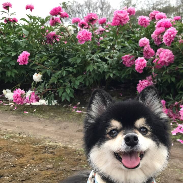 F9a32490 563e 47a2 8263 d62aba76d1ae 1527160972003