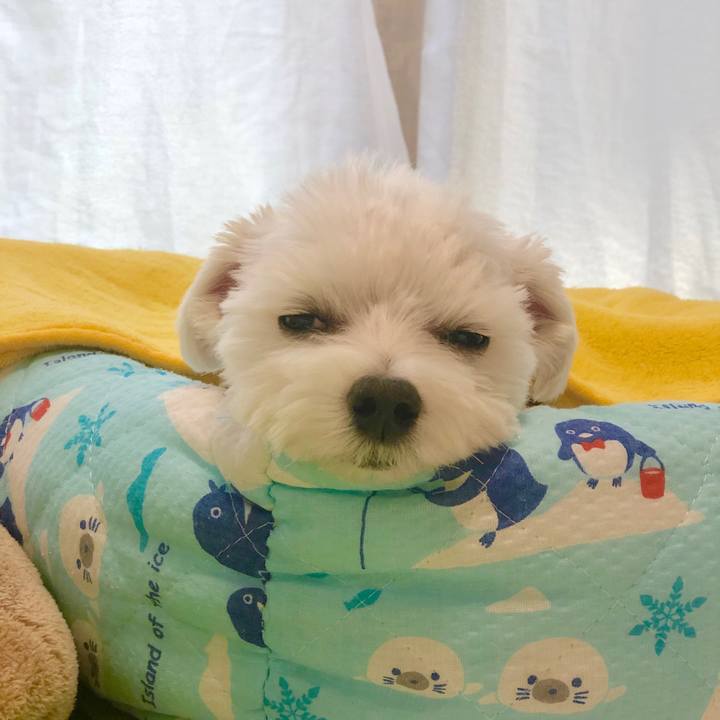 F9a34b9f 5fd8 4ca5 908d a384d91d0ba6 1569981437145