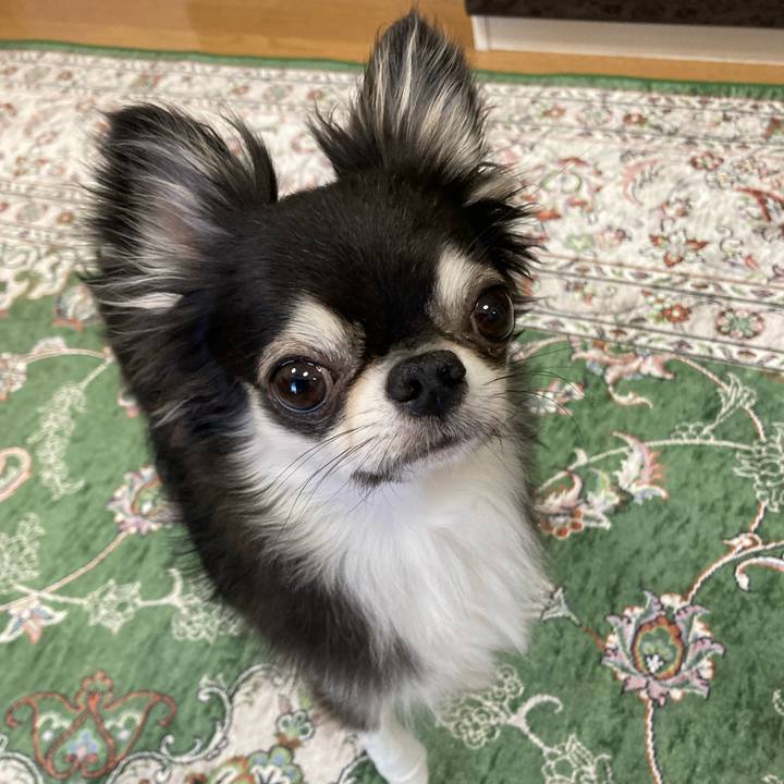 F9a3c22d ce8a 43f3 9f71 e85cbd175ba4 1659154293850