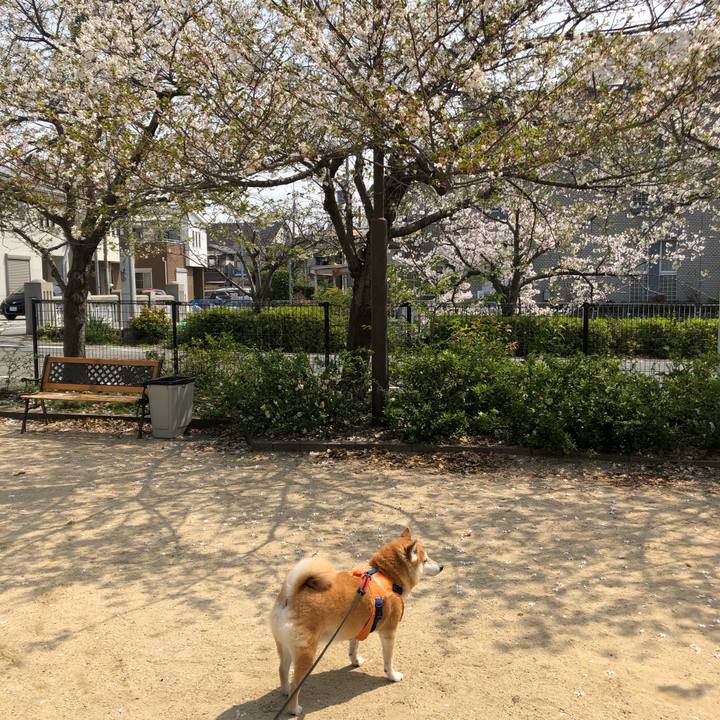 F9a3c717 733d 425d be23 72545d5942c7 1585980485989