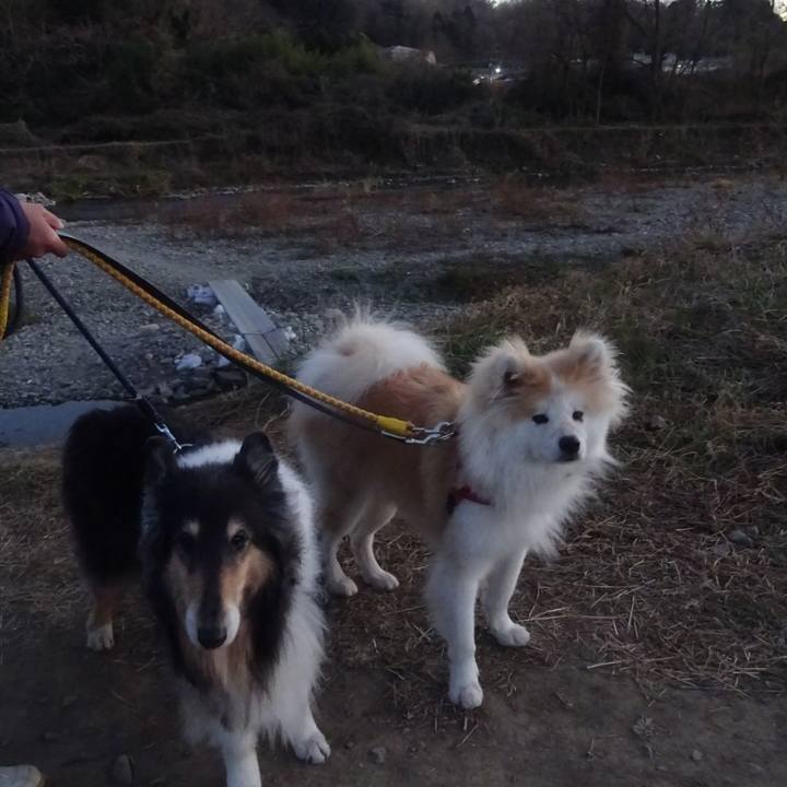 F9a3d2e7 f87c 4fee b1ac 56cd70a6ab0f 1609425565541