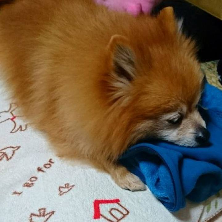 F9a4050e 441e 4bcf 80cc 85d5cc028ee7 1521413973553