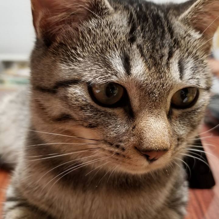 F9a40b6f 7c46 4002 b218 11f4e820c3d5 1670718411456