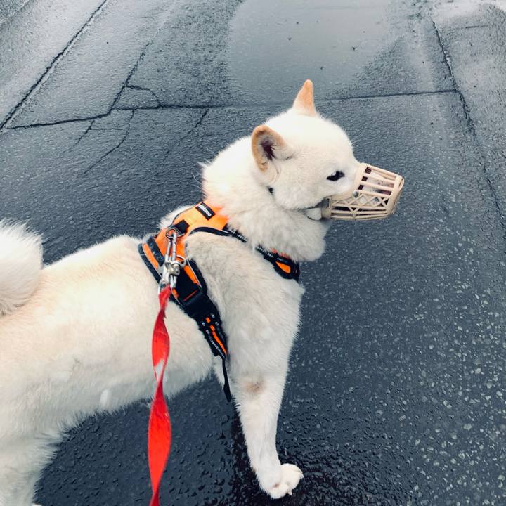 F9a41eb5 1b2b 4d3e b7d5 cca5c982b1f4 1619993617663