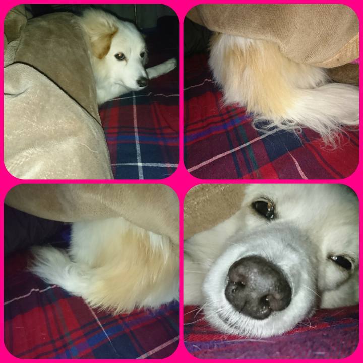 F9a45058 cfb9 4637 8197 a6b82c47ce02 1518987795969