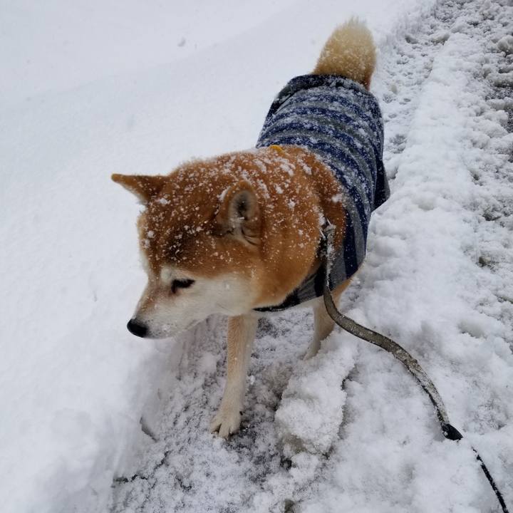 F9a484c5 9a1c 41ed bcd1 fde6f85a5700 1579585569054