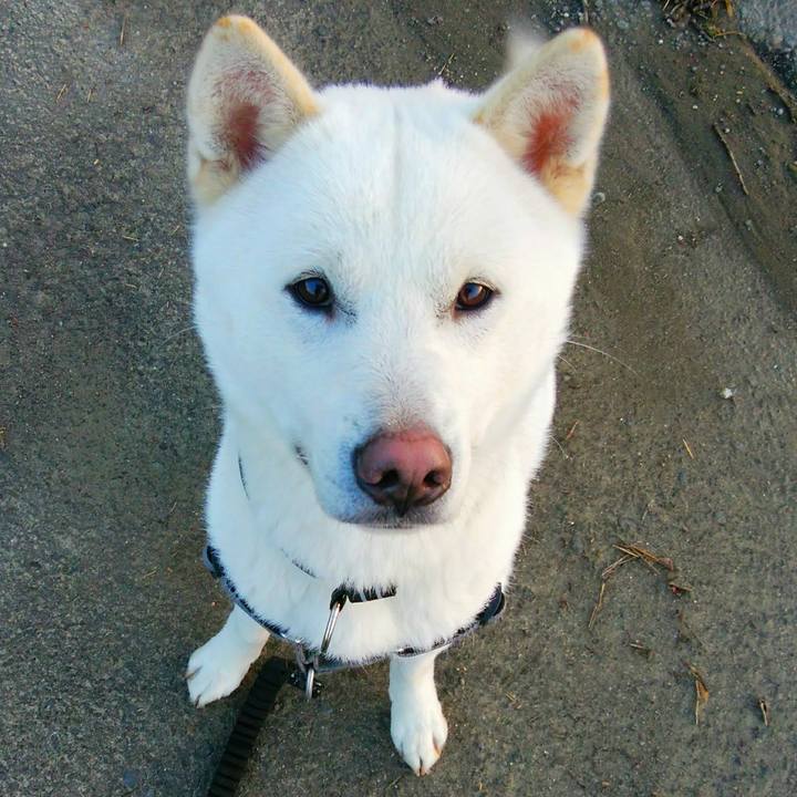 F9a490bb ef43 41b5 841a 93fc22ff5da6 1520424821525