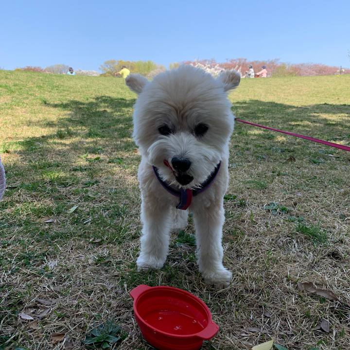 F9a4b29a 05d8 42dc 8172 2f1d572fe757 1649596234478