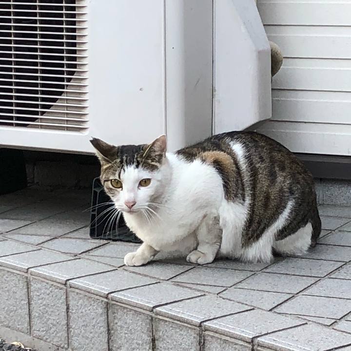 F9a4f53c 712c 4ee2 95e5 51673e406def 1518624453021