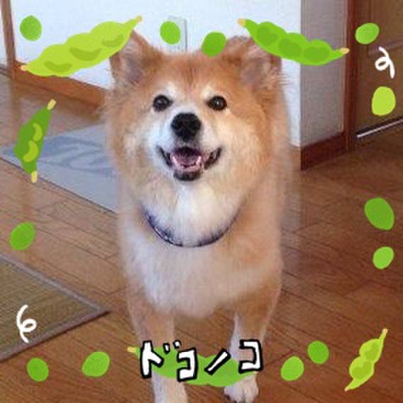 F9a50453 9a3d 4021 be0f 127639c23ca8 1721108641216