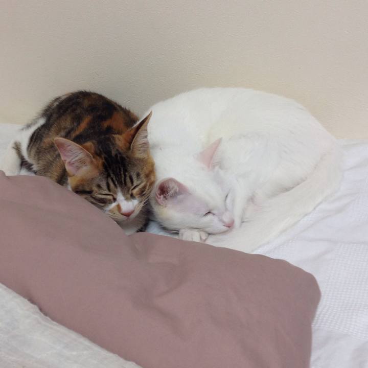 F9a52f48 47c2 4311 8af6 21bb7364b7cf 1636356299830