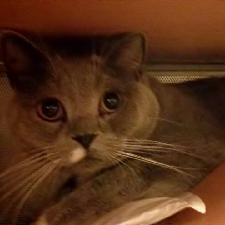 F9a5645b de70 4c60 810d da8d4c8b3bf6 1563229847222