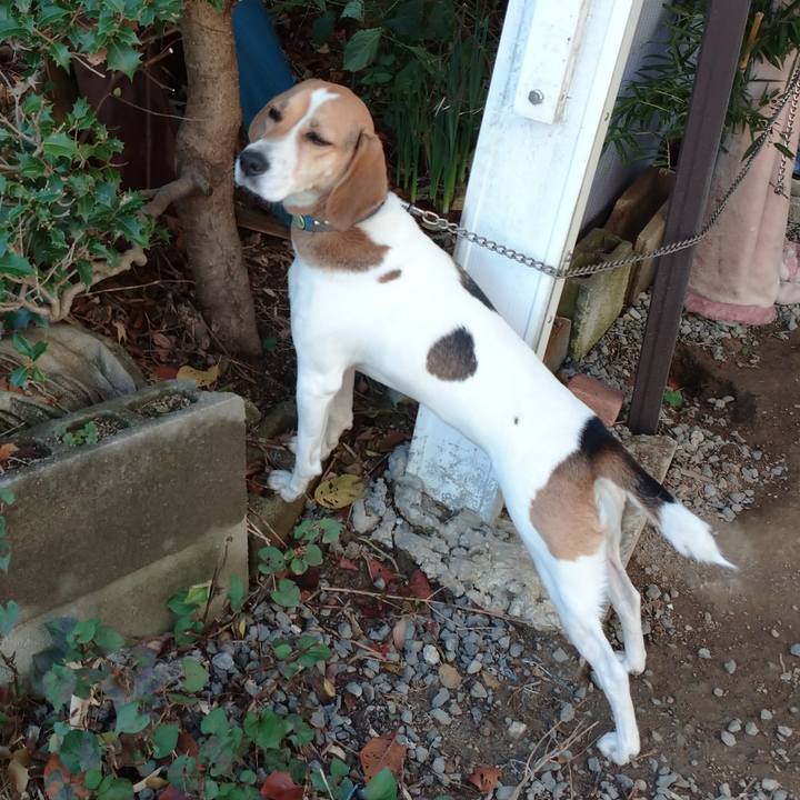 F9a582bb bb0b 41dd aa89 efe1b8b8aee2 1604372299064